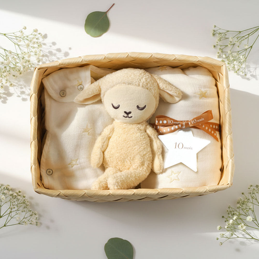 出産祝い　ギフトセット　かごギフト　ぬいぐるみ